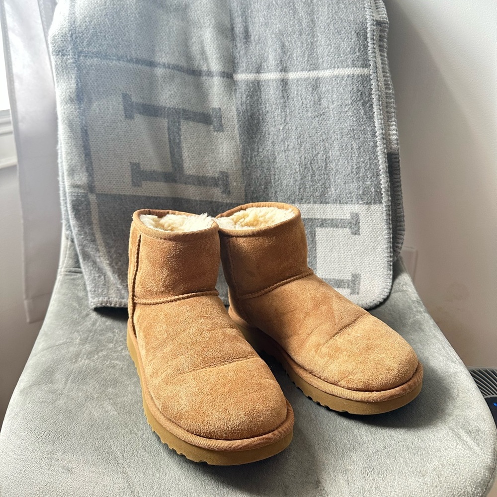 Chestnut Mini Uggs